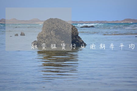 融资租赁行业逾期率平均 融资租赁行业逾期率平均