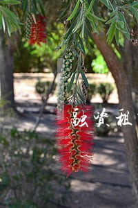 融资租赁行业逾期率怎么计算 融资租赁行业逾期率怎么计算