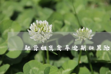 融资租赁货车逾期扫黑除恶案件 融资租赁货车逾期扫黑除恶案件