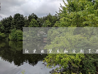 融资租赁车辆逾期了怎么办 融资租赁车辆逾期了怎么办
