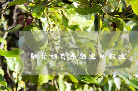 融资租赁车辆逾期被拖 融资租赁车辆逾期被拖