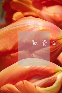 融资租赁车逾期一年 融资租赁车逾期一年