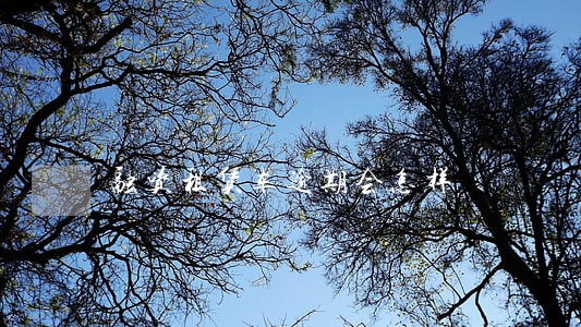 融资租赁车逾期会怎样 融资租赁车逾期会怎样