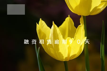 融资租赁逾期90天 融资租赁逾期90天