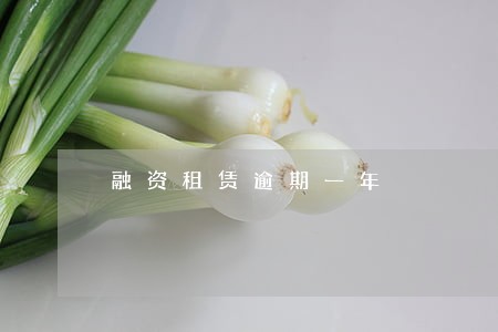 融资租赁逾期一年 融资租赁逾期一年