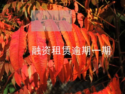 融资租赁逾期一期