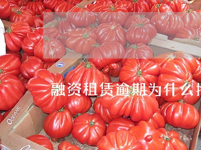 融资租赁逾期为什么拖车 融资租赁逾期为什么拖车