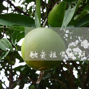 融资租赁逾期会一直上征信吗 融资租赁逾期会一直上征信吗