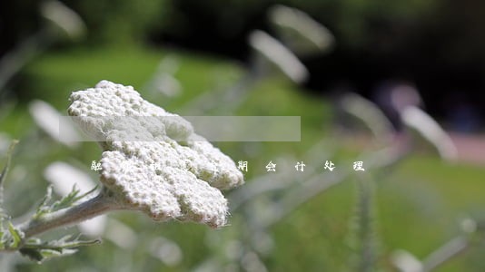 融资租赁逾期会计处理 融资租赁逾期会计处理