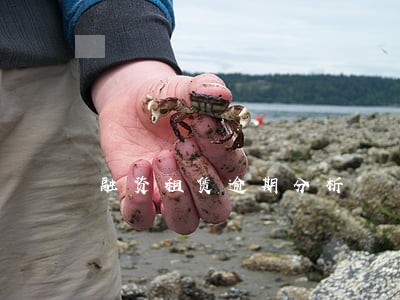 融资租赁逾期分析 融资租赁逾期分析