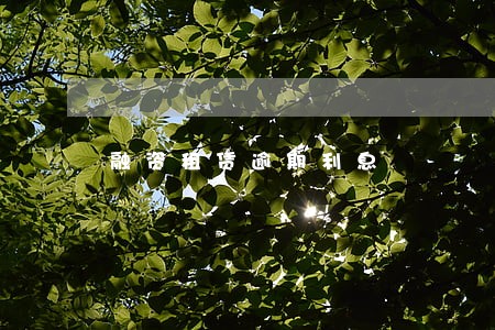 融资租赁逾期利息