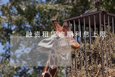 融资租赁逾期利息上限 融资租赁逾期利息上限
