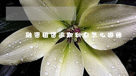 融资租赁逾期利息怎么做账 融资租赁逾期利息怎么做账