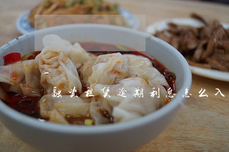 融资租赁逾期利息怎么入账 融资租赁逾期利息怎么入账