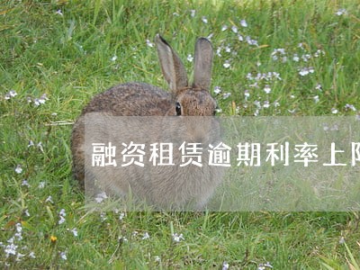 融资租赁逾期利率上限 融资租赁逾期利率上限