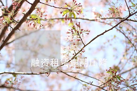 融资租赁逾期压降 融资租赁逾期压降