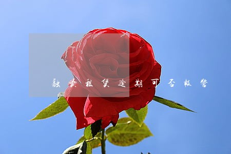 融资租赁逾期可否报警 融资租赁逾期可否报警