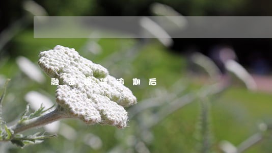 融资租赁逾期后 融资租赁逾期后