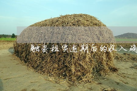 融资租赁逾期后的收入确认 融资租赁逾期后的收入确认