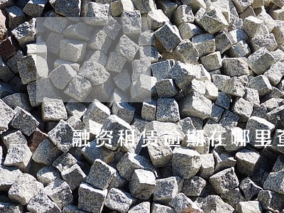 融资租赁逾期在哪里查