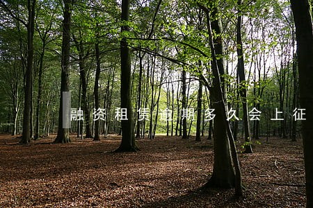 融资租赁逾期多久会上征信 融资租赁逾期多久会上征信