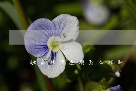 融资租赁逾期怎么控制 融资租赁逾期怎么控制