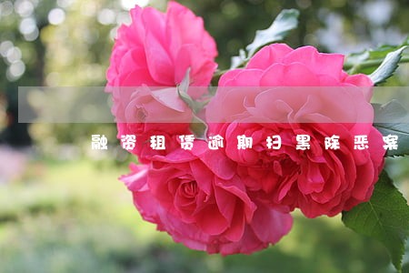 融资租赁逾期扫黑除恶案件 融资租赁逾期扫黑除恶案件