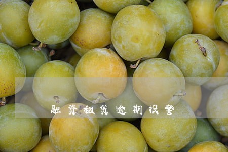 融资租赁逾期报警 融资租赁逾期报警