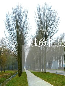 融资租赁逾期是不是可以直接扣车 融资租赁逾期是不是可以直接扣车