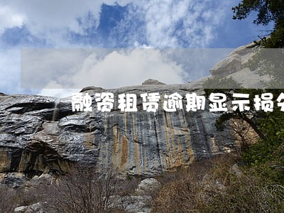 融资租赁逾期显示损失 融资租赁逾期显示损失