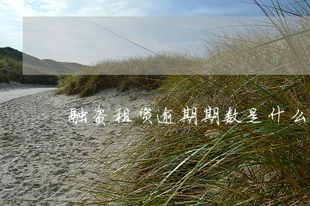 融资租赁逾期期数是什么意思 融资租赁逾期期数是什么意思