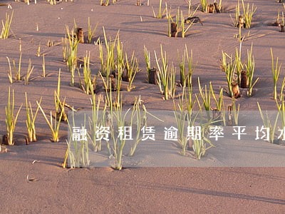 融资租赁逾期率平均水平