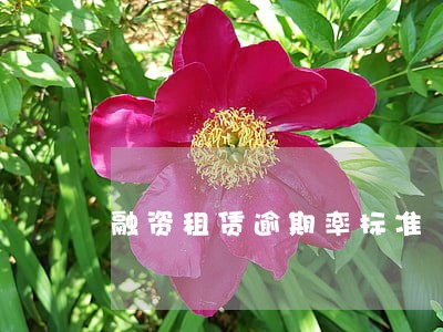 融资租赁逾期率标准