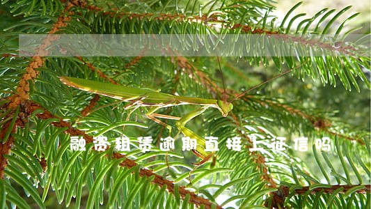 融资租赁逾期直接上征信吗 融资租赁逾期直接上征信吗