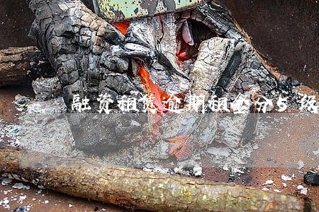融资租赁逾期租金分5级分类 融资租赁逾期租金分5级分类