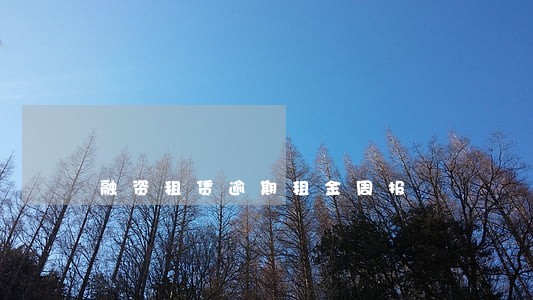 融资租赁逾期租金周报 融资租赁逾期租金周报