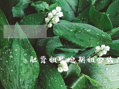 融资租赁逾期租金收入 融资租赁逾期租金收入