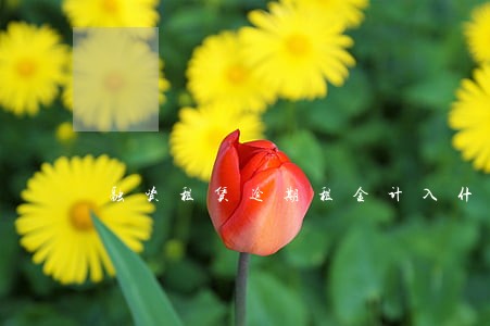 融资租赁逾期租金计入什么科目 融资租赁逾期租金计入什么科目