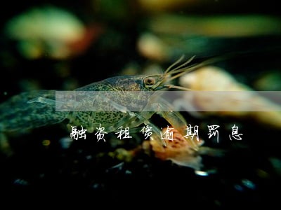 融资租赁逾期罚息 融资租赁逾期罚息
