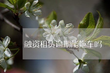 融资租赁逾期能拖车吗 融资租赁逾期能拖车吗