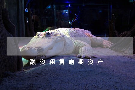 融资租赁逾期资产 融资租赁逾期资产