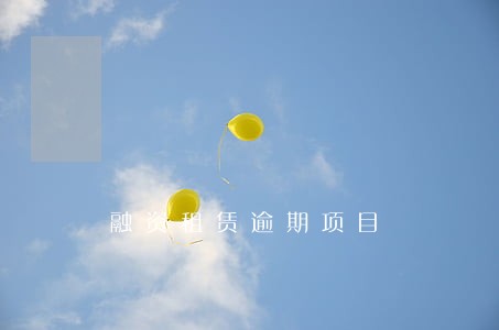 融资租赁逾期项目
