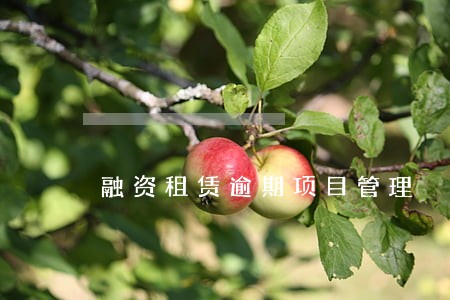 融资租赁逾期项目管理