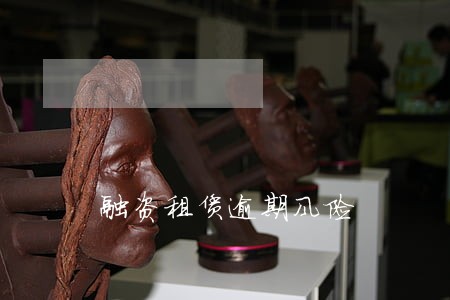 融资租赁逾期风险 融资租赁逾期风险