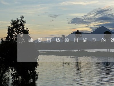 融资租赁项目逾期的处置方案 融资租赁项目逾期的处置方案