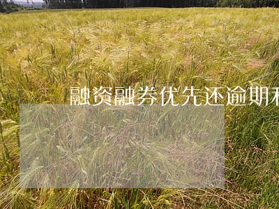 融资融券优先还逾期利息 融资融券优先还逾期利息