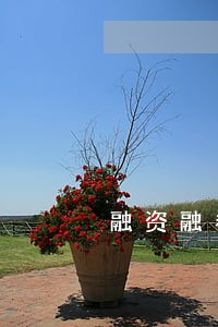 融资融券的逾期罚息率 融资融券的逾期罚息率