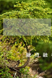 融资融券逾期利息如何算 融资融券逾期利息如何算