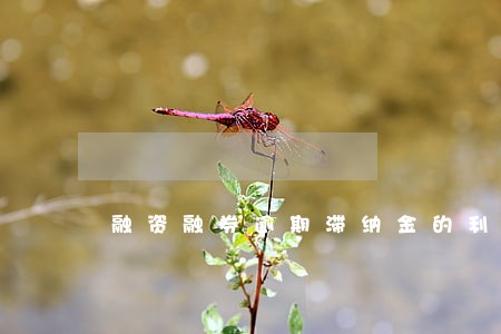 融资融券逾期滞纳金的利率