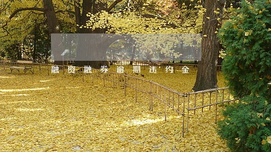 融资融券逾期违约金